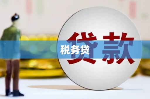孟州税务贷