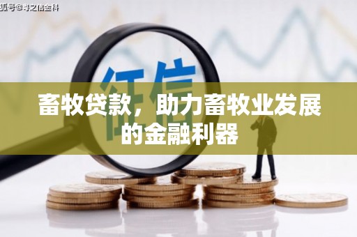 孟州畜牧贷款，助力畜牧业发展的金融利器