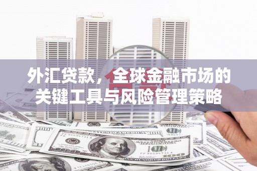 孟州外汇贷款，全球金融市场的关键工具与风险管理策略