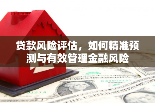 孟州贷款风险评估，如何精准预测与有效管理金融风险