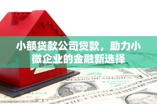 孟州小额贷款公司贷款，助力小微企业的金融新选择