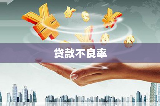 孟州贷款不良率