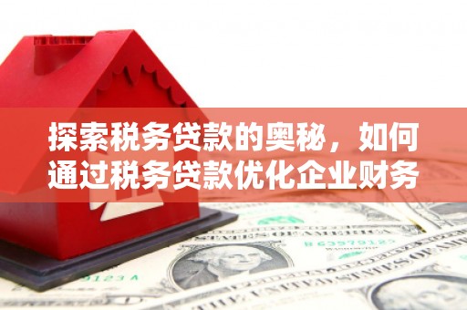 孟州探索税务贷款的奥秘，如何通过税务贷款优化企业财务