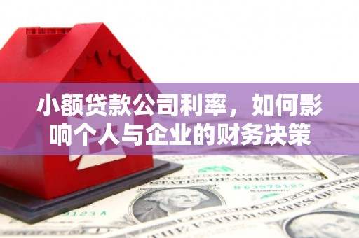 孟州小额贷款公司利率，如何影响个人与企业的财务决策