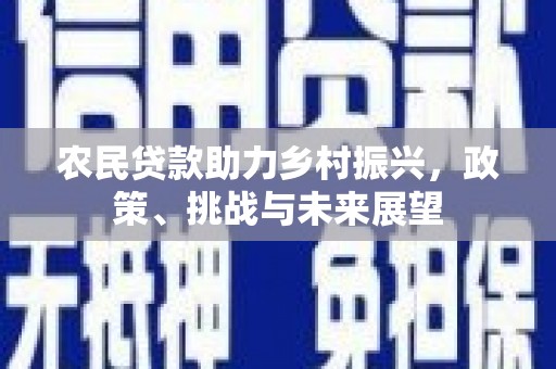 孟州农民贷款助力乡村振兴，政策、挑战与未来展望