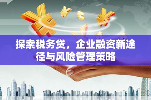 孟州探索税务贷，企业融资新途径与风险管理策略