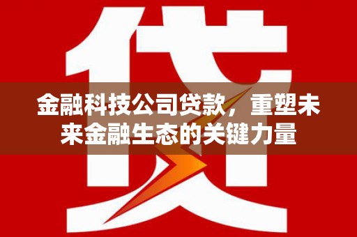孟州金融科技公司贷款，重塑未来金融生态的关键力量