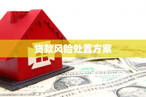 孟州贷款风险处置方案