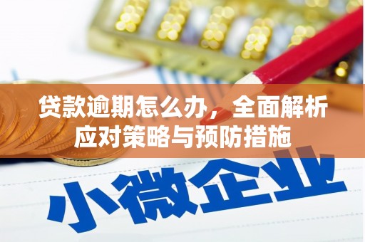 孟州贷款逾期怎么办，全面解析应对策略与预防措施