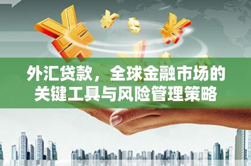 孟州外汇贷款，全球金融市场的关键工具与风险管理策略