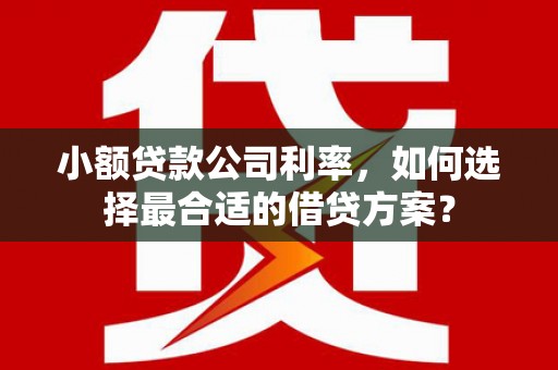孟州小额贷款公司利率，如何选择最合适的借贷方案？