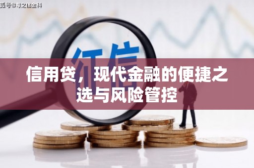 孟州信用贷，现代金融的便捷之选与风险管控