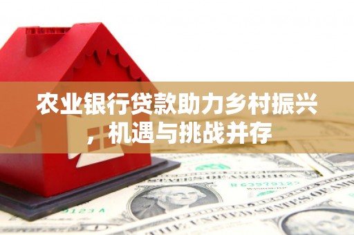 孟州农业银行贷款助力乡村振兴，机遇与挑战并存