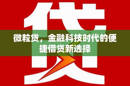 孟州微粒贷，金融科技时代的便捷借贷新选择