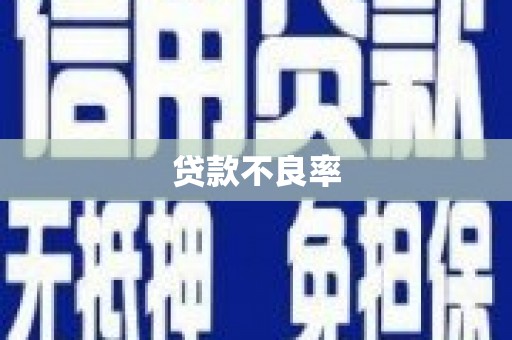 孟州贷款不良率