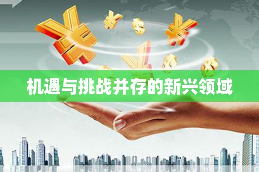 孟州机遇与挑战并存的新兴领域