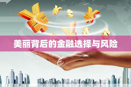 孟州美丽背后的金融选择与风险