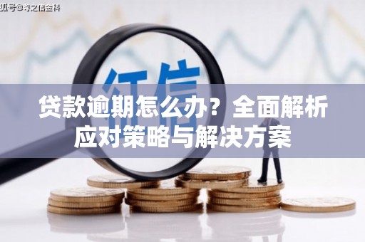 孟州贷款逾期怎么办？全面解析应对策略与解决方案