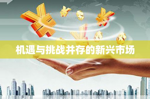 孟州机遇与挑战并存的新兴市场